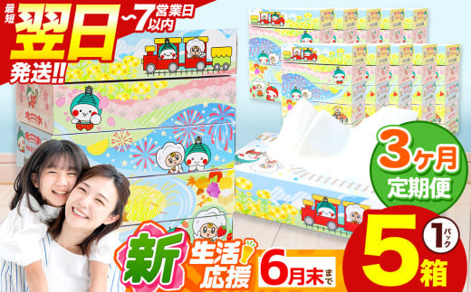 最短翌日発送 人気急上昇 高評価 ティッシュ BOX  【 定期便3回 】5箱 × 1パック  |  限定 最大 真岡市 オリジナル 300枚 150組 5箱 10箱 30箱 60箱 定期便 便利 日用品 雑貨 必需品 紙 柔らかい なめらか 蒸気機関車 SL 栃木県 真岡市 PR 災害 備蓄 大容量