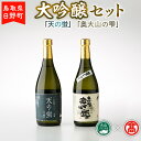 【ふるさと納税】BK1＜大岩酒造本店＞大吟醸セット（大山ブランド会） 大吟醸「奥大山の雫」720ml×1 大吟醸「天の蛍」720ml×1 【鳥取県日野町】 大岩酒造本店 日本酒 酒【大山ブランド会】