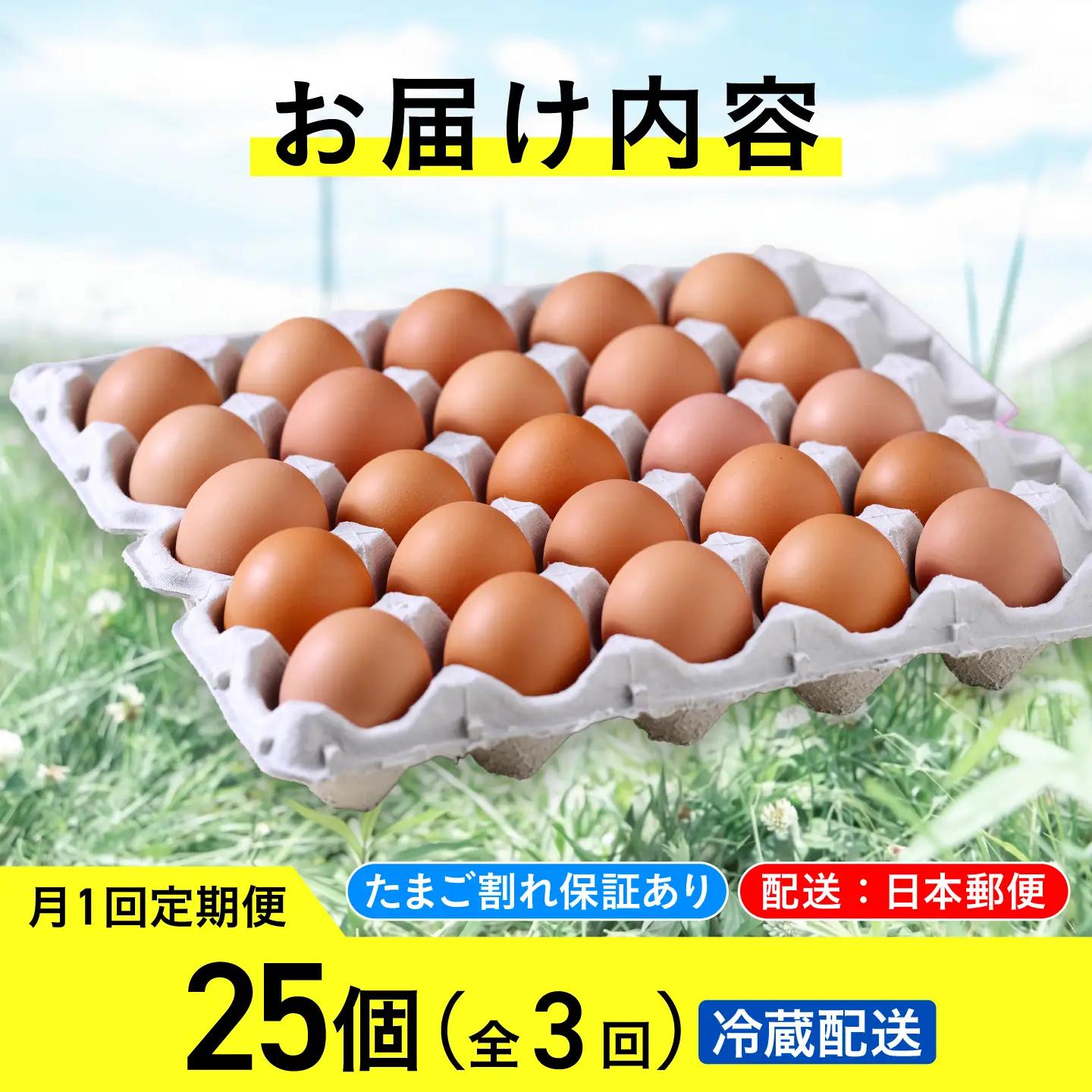 【たまご 定期便 3ヵ月】25個 有精卵 小林農園  [AXAN004] たまご