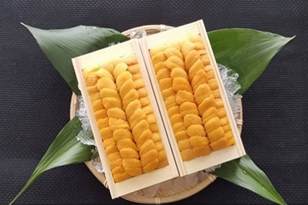 ムラサキウニ140g×2折 C-40001