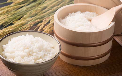 ＜定期便＞白河市産ひとめぼれ精米5kg×2ヶ月連続 米 お米 コメ ごはん ご飯 食品 F23R-981