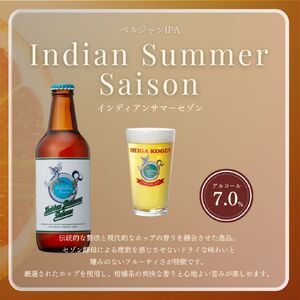 父の日 定期便 3ヶ月 志賀高原ビール12本セット 【 クラフトビール 志賀高原ビール 飲み比べセット 玉村本店 ビール 詰め合わせ セット 地ビール 飲み比べ 黒ビール IPA ipa ペールエール