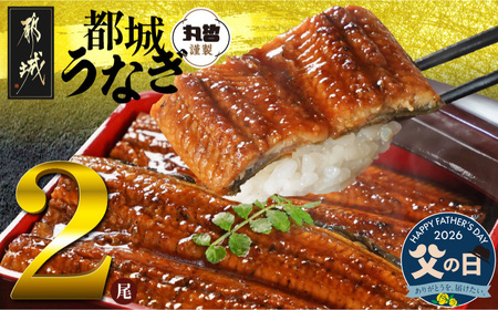 【父の日】宮崎県育ちのうなぎ蒲焼2尾300g以上≪山椒・たれ付≫≪6月18日～21日お届け≫_13-M301-FG_(都城市) うなぎ蒲焼(有頭) 宮崎県産 真空 山椒・たれ付 父の日 ギフト