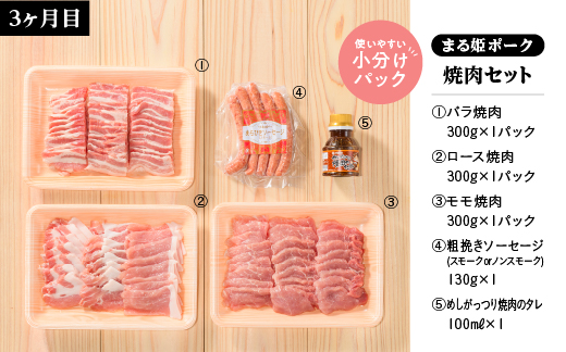 まる姫ポーク　おすすめセット　定期便【5ヶ月】 精肉セット 生ソーセージセット 焼肉セット ホルモンセット しゃぶしゃぶセット