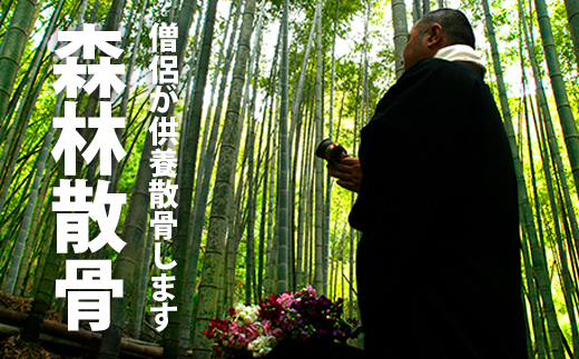 SK55002 森林散骨