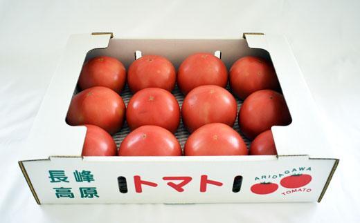長峰高原 有田産 桃太郎トマト 約3kg ★2025年8月より順次発送 有田川町 BZ065_イメージ4