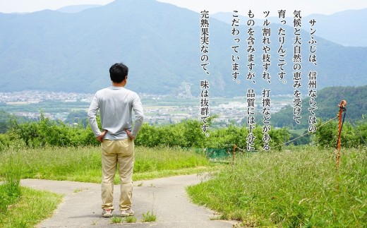 【2026年先行予約】りんご サンふじ  約3kg ( 6~10玉 ) | 林檎 リンゴ 3キロ アップル 果物 くだもの フルーツ ふじ フジ さんふじ 富士 産地直送 長野県産 信州林檎 信州りんご 信州 長野 千曲市 中島農園