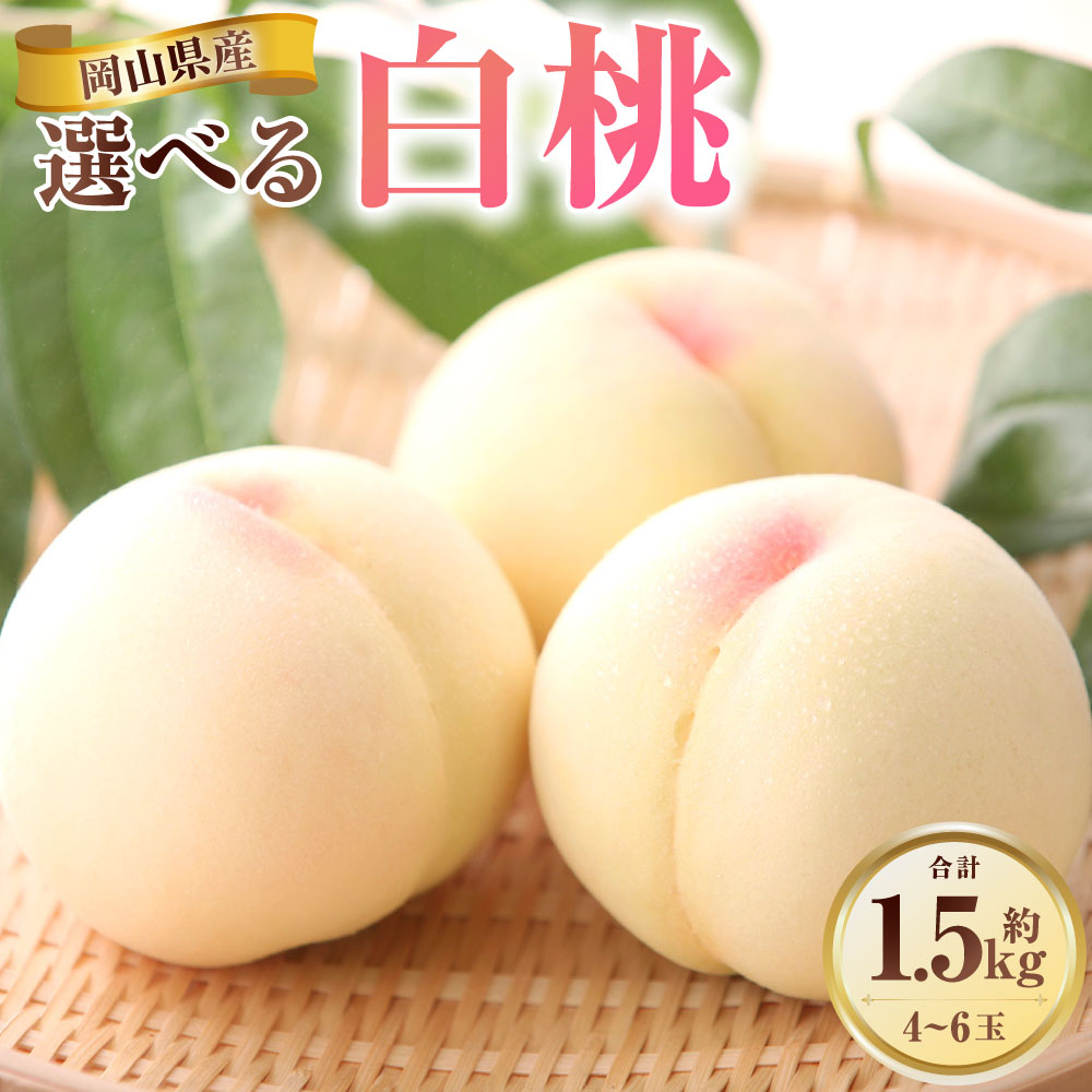 【ふるさと納税】＜選べる種類＞ 白桃 約1.5kg（4～6玉） 岡山県産白桃 / 岡山県産清水白桃 / 【特選】岡山県産白桃 桃 もも モモ フルーツ くだもの 果物 果実 デザート 冷蔵 岡山県産 国産 岡山県 美咲町 送料無料 【2026年7月上旬～8月上旬迄発送予定】