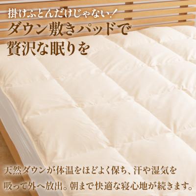 ふるさと納税 山梨市 ダウン敷きパッド(ダブル) ダウン50% 日本製 敷き布団OK 春夏秋冬【甲州羽毛ふとん】 |  | 01