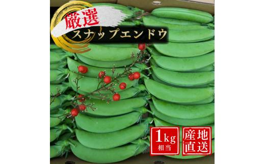 ＼ 先行予約／ 厳選 こだわり の スナップエンドウ 1kg 相当 種子島産 産地直送 旬　NFN551 【300pt】 種子島 産 産地直送 旬 新鮮 箱一杯 みずみずしい 食感 サラダ スープ 炒め物 幅広い料理