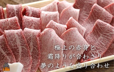 毎回約700頭から厳選された 鹿児島黒毛和牛 希少部位焼肉 600g ( 赤身 ランプ イチボ クリミ 霜降り ザブトン カイノミ ササミ 厳選 プレミアム 高品質 焼肉 鹿児島黒毛和牛 黒毛和牛 牛