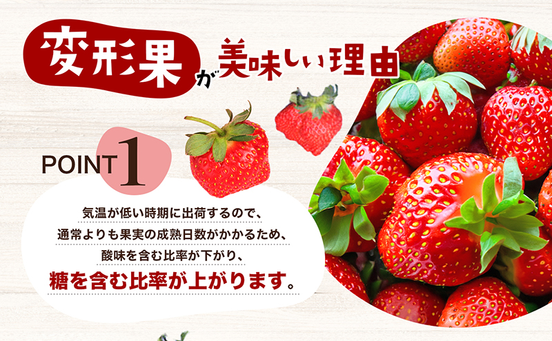 【 小豆島 】【配送エリア限定商品】＜ 訳あり ・ 大粒 ＞ 小豆島産 変形果いちご 1.4kg いちご 苺 イチゴ 女峰 女峰いちご 変形 果物 フルーツ くだもの 香川 香川県 土庄 土庄町