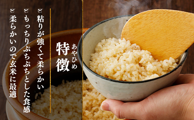 令和7年産 北海道岩見沢市産 あやひめ玄米5kg ≪沖縄・離島配送不可≫【35029】