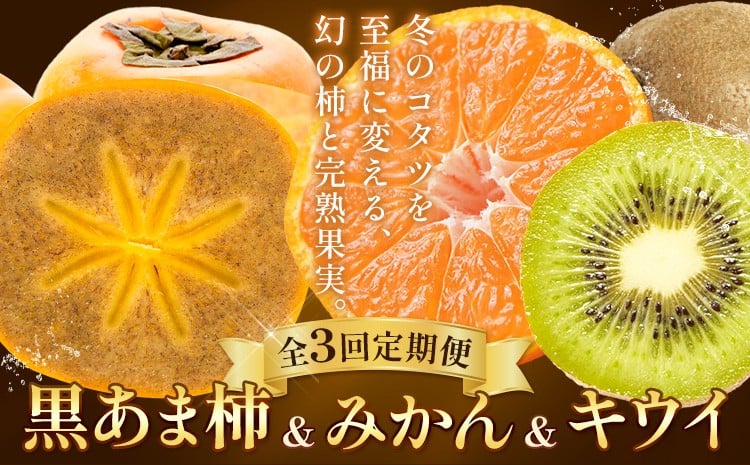 
                  【定期】【チョイス限定】幻の柿「黒あま柿」入り。冬の厳選完熟フルーツ定期便【全3回】《2026年12月-1月頃出荷》柿 ミカン 柑橘類 キウイフルーツ 食べ比べ
                