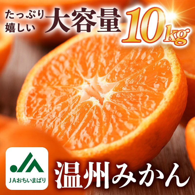 【ふるさと納税】【先行予約】＼迷ったらコレ！／温州みかん たっぷり 10kg 期間限定 ふるさと納税ミカン 温州ミカン 甘いみかん 愛媛みかん 果物 故郷納税フルーツ ふるさと納税フルーツ 愛媛ふるさと納税 愛媛県ふるさと納税 JA【KC00760】