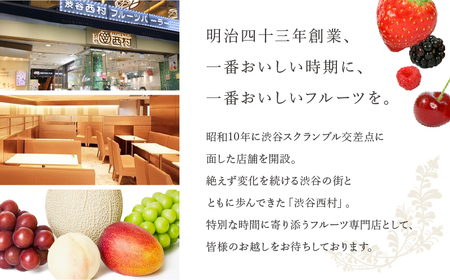 渋谷西村フルーツパーラー道玄坂店ご飲食券（15,000円分）