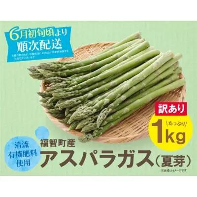 Z18-23 寄附額改定↓↓ 【訳あり】清流・有機肥料使用 アスパラガス(夏芽) 1kg 【2026年6月より順次出荷】