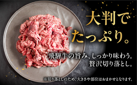 飛騨牛 切り落とし 200g×5袋 　計1kg【22-47】