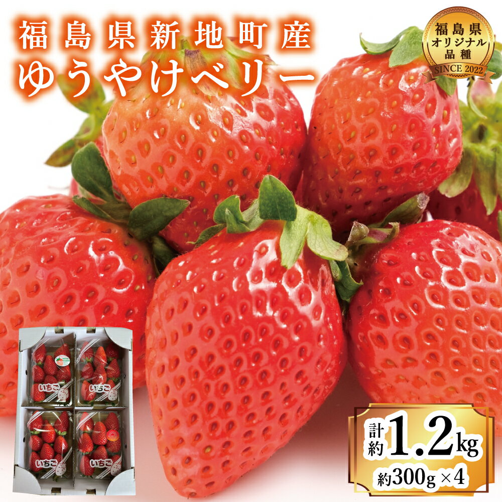 【ふるさと納税】福島県産いちご ゆうやけベリー 約1.2kg (300g×4パック)　フルーツ いちご 苺 佐藤正義いちご農園 厳選 福島県 オリジナル ブランド品種 クール便 新鮮 朝摘み 収穫当日発送 福島県 新地町 くだもの デザート 贈答
