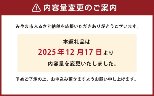 B25 栗の渋皮煮 200g×6袋 栗 渋皮煮 くり 和菓子