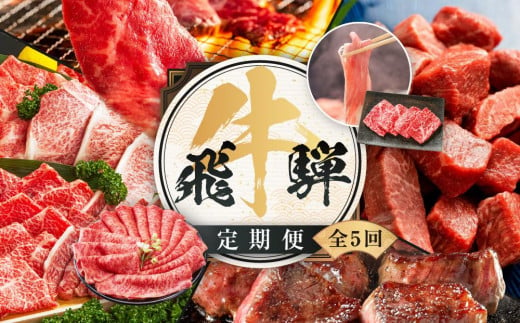 飛騨牛 定期便 全5回 約 2.2kg ( 300g 以上 × 5ヶ月 ) 牛肉 (すき焼き / ステーキ / しゃぶしゃぶ / 焼肉 ) | 肉 食べ比べ A5 岐阜 高山市 飛騨高山 岐阜県 人気 お楽しみ おすすめ ZZ015