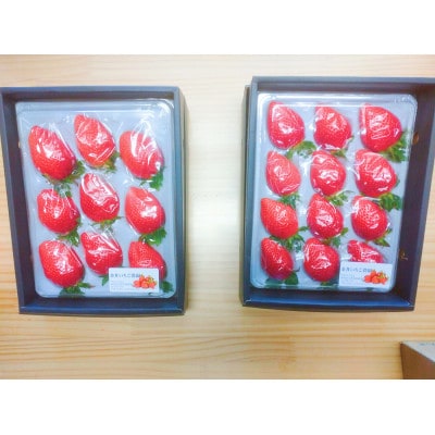 金井いちご農園　贈答用いちご　2パック【配送不可地域：離島・北海道・沖縄県・中国・四国・九州】【1691420】