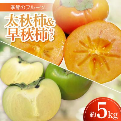 ふるさと納税 香川県 季節のフルーツ「太秋柿&amp;早秋柿セット」計約5kg【令和7年9〜10月発送】