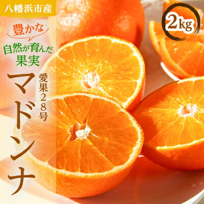 【ふるさと納税】八幡浜産愛果28号マドンナ2kg【C56-58】【配送不可地域：離島・北海道・沖縄県】【1569489】