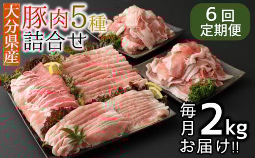 【6ヶ月定期便：2025年10月配送開始】小分けで便利♪大分県産 豚5種詰め合わせ（約2kg×6回）