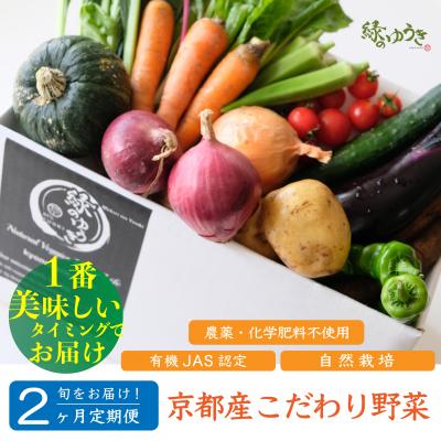 ふるさと納税 京都市 <2か月定期便>【緑のゆうき】京都産こだわりの野菜セット