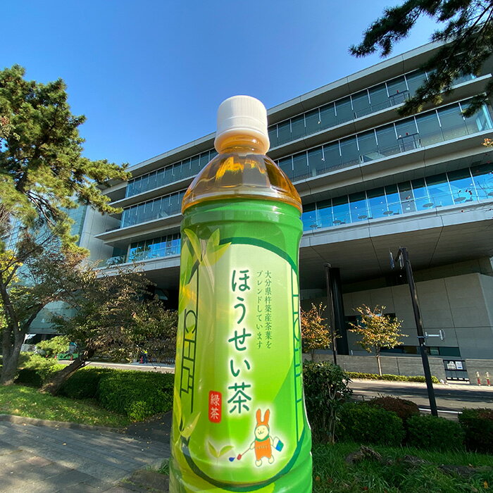 【ふるさと納税】法政大学オリジナル緑茶「ほうせい茶」（杵築産茶葉使用）＜142-001＞