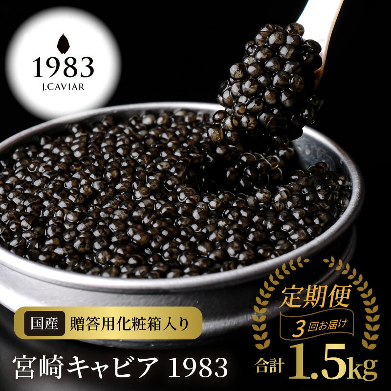 【ふるさと納税】【定期便 3回】 宮崎 キャビア 1983 合計 1.5kg 500g × 3 シェルスプーン 贈答用化粧箱 国産 フレッシュキャビア 熟成 チョウザメ 魚卵 高級 グルメ 贈り物 贈答品 プレゼント用 お祝い 記念日 冷凍 珍味 ジャパンキャビア 宮崎県 延岡市 送料無料