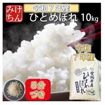 【ふるさと納税】令和7年産　宮城県産ひとめぼれ10kg　5分づき【1671430】