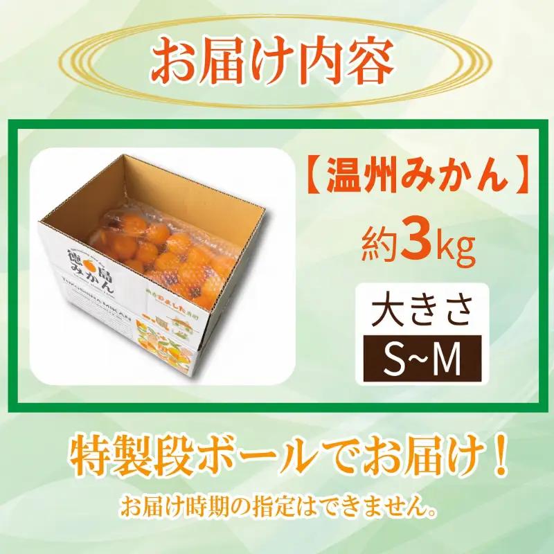 【2026年12月順次発送】温州みかん 3kg 完熟 みかん