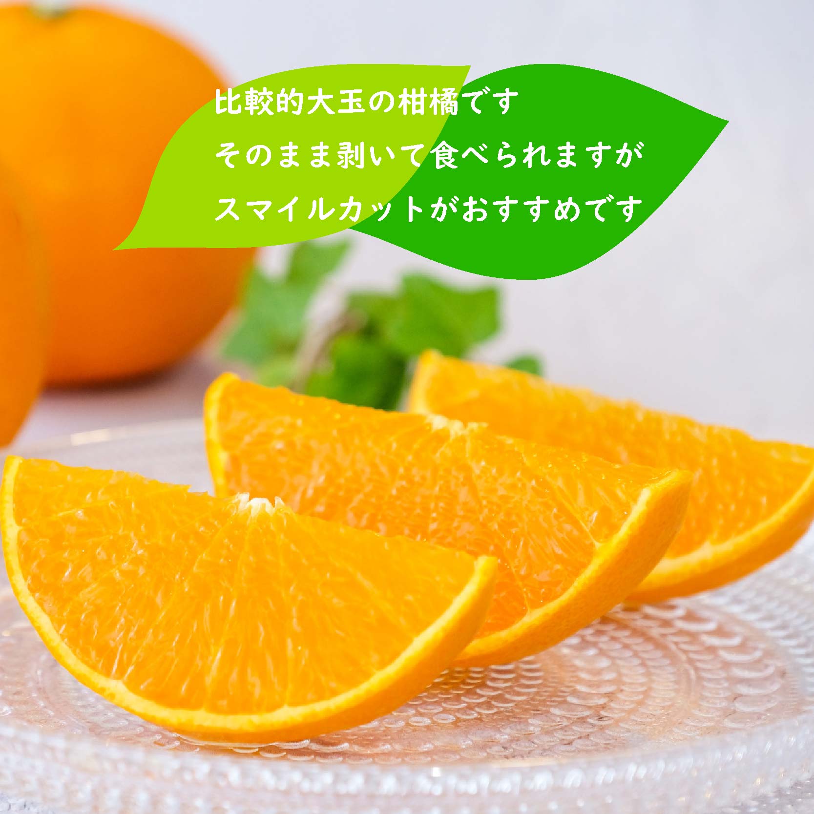 【2026年3月上旬ごろから発送予定】せとか 約 3kg (9~13玉) | 3月発送 柑橘 蜜柑 みかん ミカン  秀品 愛媛 松山市 柑橘 高級 糖度 