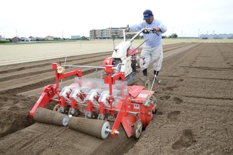 碧南市を代表するブランド人参「へきなん美人」 にんじん 10kg　H017-100