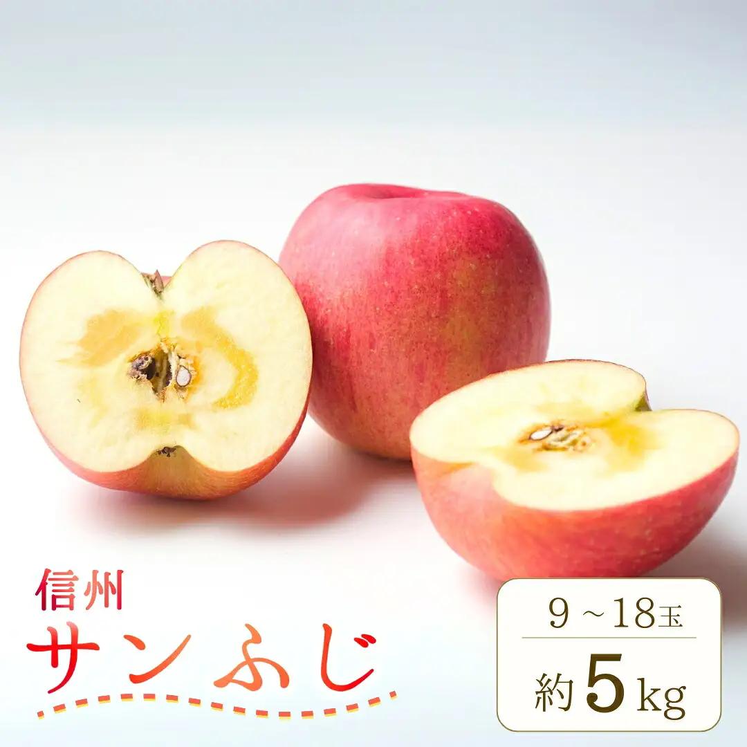 【2026年先行予約】りんご サンふじ 約5kg (9~18玉) |りんご