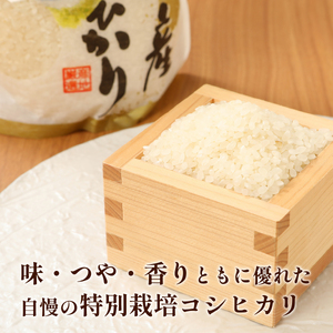 D31　【令和5年産】新潟県新発田市産特別栽培米コシヒカリ(2kg×2袋)