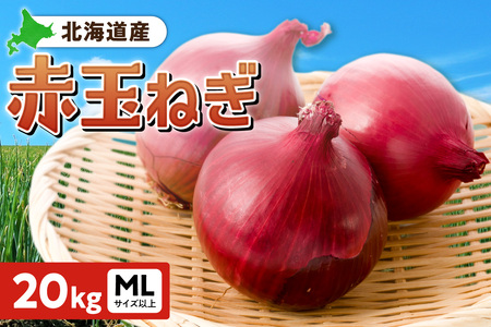 赤玉ねぎ 北海道産 20kg MLサイズ以上