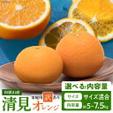 【ふるさと納税】【限定】 紀州有田産 清見 オレンジ 選べる 容量 5kg ~ 7.5kg 【家庭用 訳あり】 タンゴール みかん 柑橘 フルーツ 果物 デザート 果実 お取り寄せ 和歌山県 湯浅町 有田 送料無料