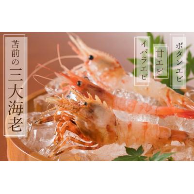 ふるさと納税 苫前町 【急速冷凍】北海道苫前産イバラエビ　500g×2《数量限定》(えび・海老・北海道・小分け・生) |  | 01