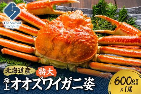 北海道産特大極上オオズワイ蟹姿　600g前後×1尾 | 蟹