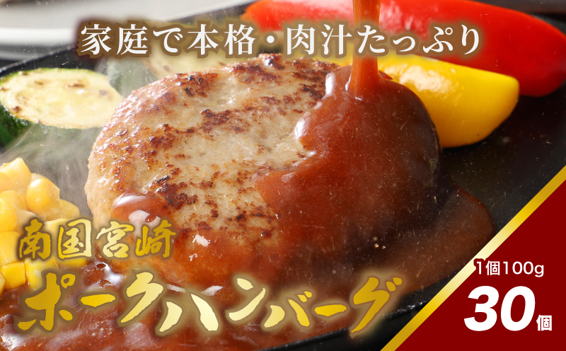 南国宮崎ポークハンバーグ100g×30個 K16_0023_3
