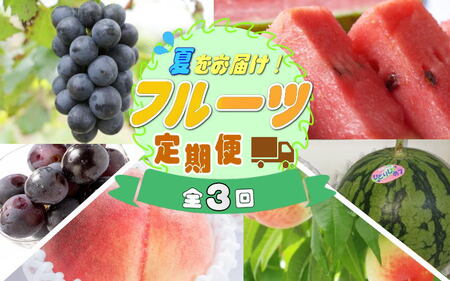 【定期便】夏をお届け！フルーツ定期便！小玉すいか・桃・ピオーネ（全3回） 【tkb345】
