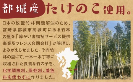 【お試し♪】万能食材☆優しい都城産メンマ - 国産メンマ 80g×2パック 化学調味料・保存料・着色料不使用 宮崎県都城産タケノコ おつまみ ラーメン/パスタ/和え物など_LB-9204-PF