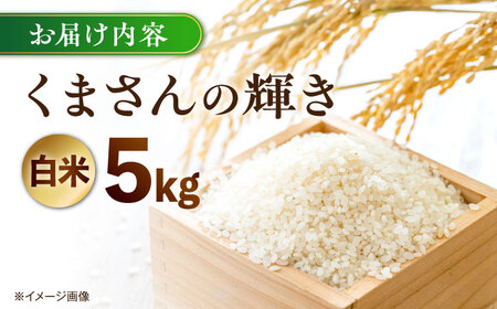 【令和7年度】 くまさんの輝き 白米 5kg (1袋) 【TKCラボ（辻米クラブ研究所）】[AYDI001]