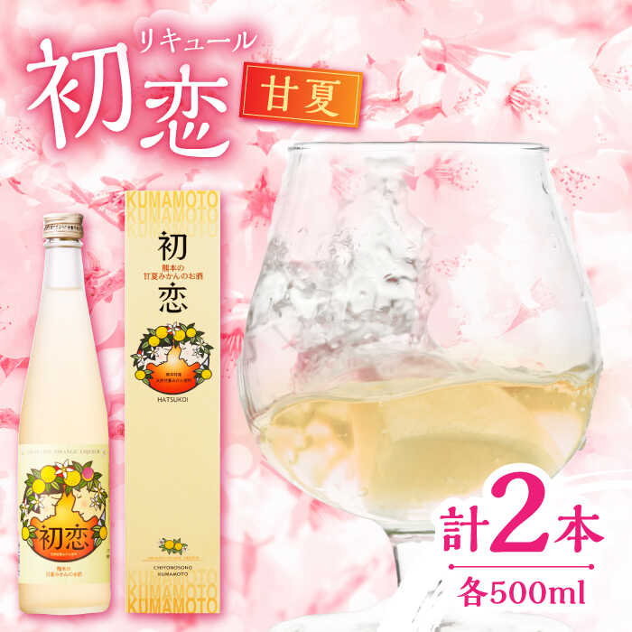 【ふるさと納税】甘夏 リキュール 初恋 500ml 2本セット 【千代の園酒造 株式会社 】[ZAI044]