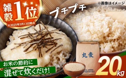 丸麦 【7日以内に発送】もち麦よりも『ぷりっ』とした弾力 丸麦 20kg / 長崎県産 麦 むぎ 雑穀 雑穀米 麦ごはん 麦みそ 麦味噌 食物繊維 長崎県産 米 こめ コメ ※ / 諫早市 / 有限会社伊東精麦 [AHBU001]