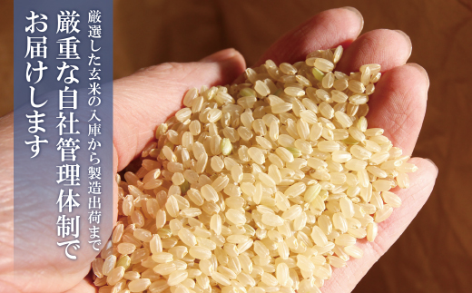 無洗米 福岡県産・元気つくし10kg定期便(毎月・年12回)