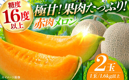 【先行予約】【7月下旬から8月上旬に順次発送】メロン 2玉 計3kg以上赤肉 メロン レノン 糖度16度以上 フルーツ[APCA001] フルーツ フルーツ フルーツ フルーツ フルーツ